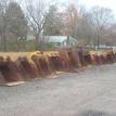 Buckets ( All Sizes )